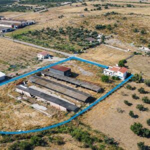 Foça Bucak Mevkinde Satılık 5 Dönüm Ruhsatlı Çiftlik