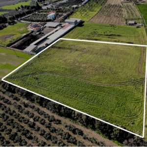 Ilıpınar'da 11.817 M2 Satılık Tarla