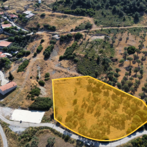 Foça Kocamehmetler'de Yatırımlık Zeytinlik